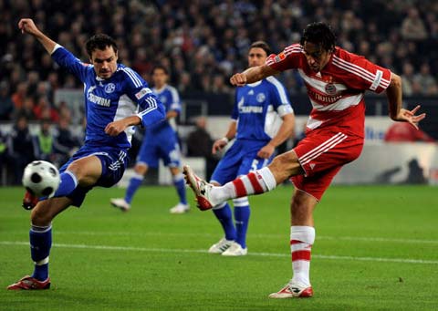 鹈鹕队在整 鹈鹕队在整